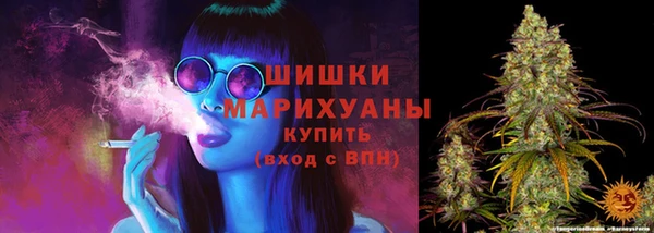 тгк Протвино